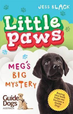 Little paws 2 Meg's Big Mystery - BookMarket