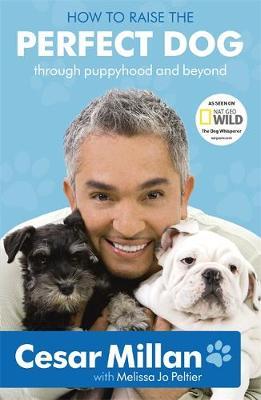 How To Raise The Perfect Dog (Uk)/P - BookMarket