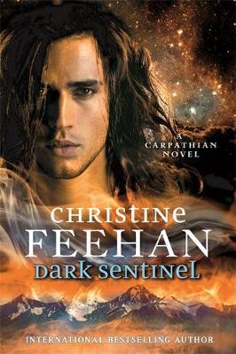 Dark Sentinel /T