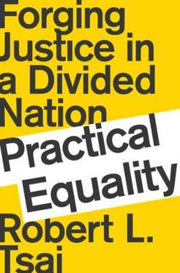 Practical Equality : Forging Justice in a Divided Nation - BookMarket
