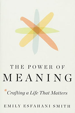 Power of Meaning : Crafting a Life That Matters - BookMarket