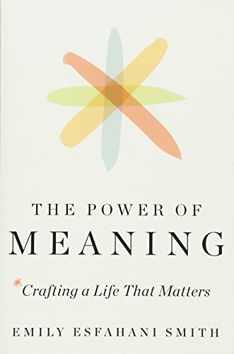 Power of Meaning : Crafting a Life That Matters - BookMarket