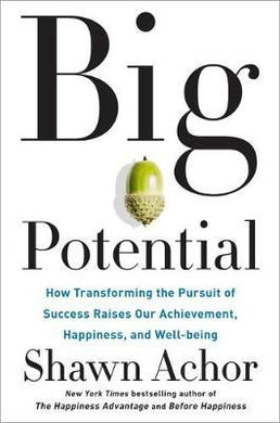 Big Potential : How Transforming the Pursuit of Success Raises Our Achievement, Happiness, and Well-Being - BookMarket