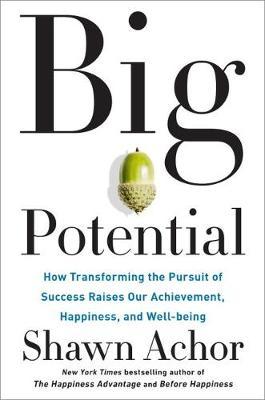 Big Potential : How Transforming the Pursuit of Success Raises Our Achievement, Happiness, and Well-Being - BookMarket