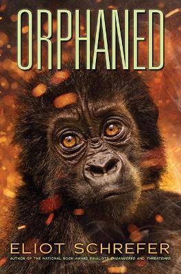 Orphaned (Ape Quartet #4) : Volume 4