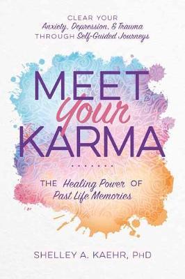 Meet Your Karma : The Healing Power of Past Life Memories