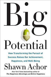 Big Potential : Five Secrets of Reaching Higher by Powering Those Around You - BookMarket