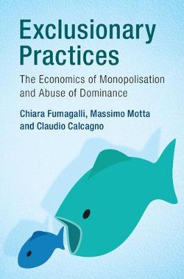Exclusionary Practices : The Economics of Monopolisation and Abuse of Dominance
