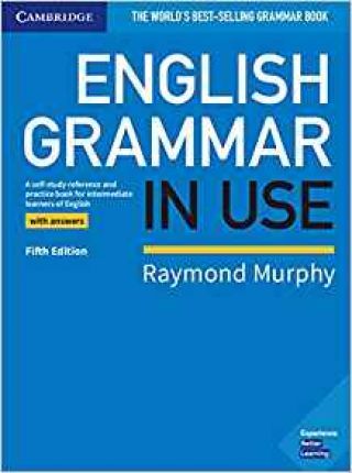 English Grammar in Use Book with Answers : A Self-study Reference and Practice Book for Intermediate Learners of English