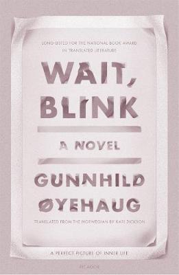 Wait, Blink : A Perfect Picture of Inner Life: A Novel