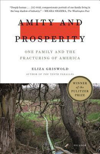 Amity and Prosperity : One Family and the Fracturing of America