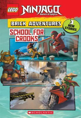 Lego Ninjago School For Crooks - BookMarket