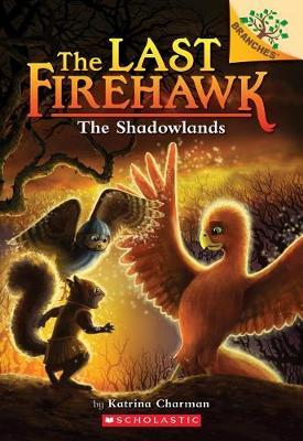 Last Firehawk 05 Shadowlands - BookMarket