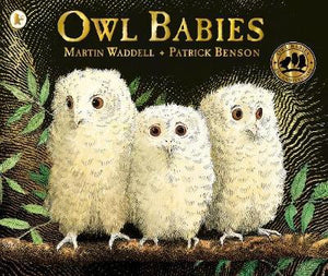 Owl Babies (PICTURE BOOK)