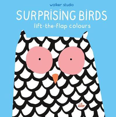 Surprising Birds Liftflap Colours