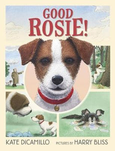 Good Rosie!