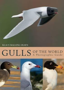 Gulls of the World : A Photographic Guide
