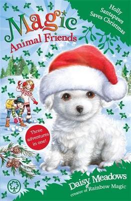 Magic Animal Friends: Holly Santapaws Saves Christmas : Special 5