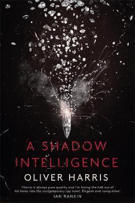 A Shadow Intelligence /T