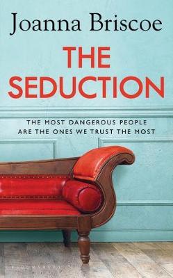 The Seduction : An addictive new story of desire and obsession