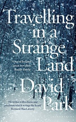 Travelling in a Strange Land : Winner of the Kerry Group Irish Novel of the Year