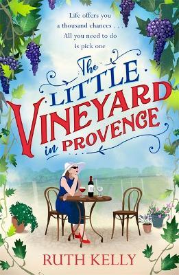 Little Vineyard In Provence