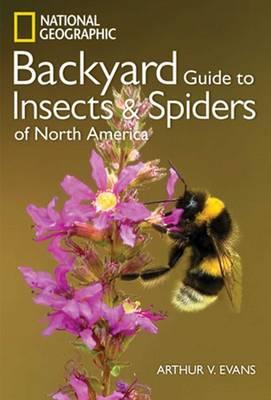 Ngeo: Insects & Spiders Of N America /T