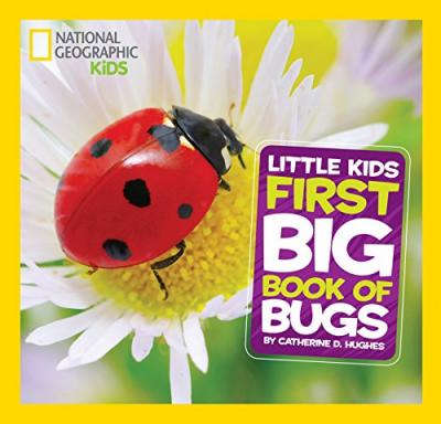Natgeo Little Kids First Big Book Of Bug - BookMarket