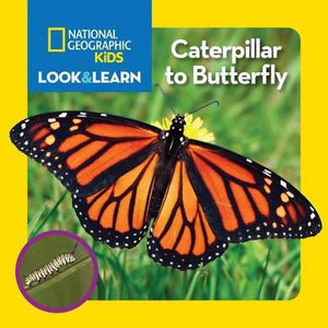 Natgeo Little Kids Look & Learn Caterpillar To Butterfly