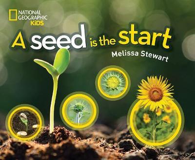 A Seed Is Start