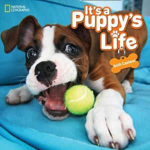 It'S A Puppy'S Life