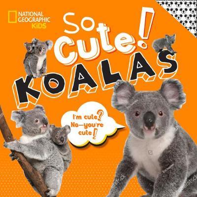 So Cute! Koalas