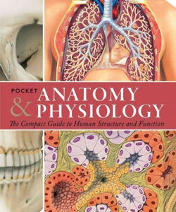 Pocket Anatomy & Physiology : The Compact Guide to the Human Body and How It Works