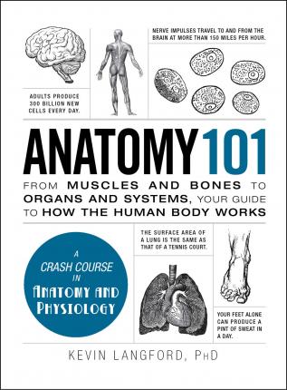 Anatomy 101 : From Muscles and Bones to Organs and Systems, Your Guide to How the Human Body Works