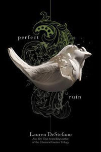 Internment 01 Perfect Ruin