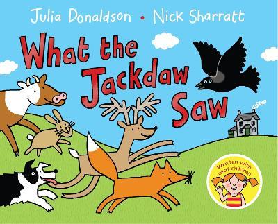 What Jackdaw Saw