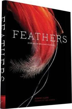 Feathers : Displays of Brilliant Plumage (only copy)