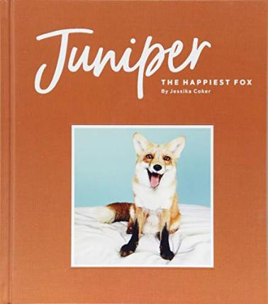 Juniper: The Happiest Fox /H