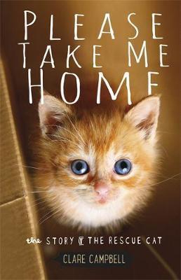 Please Take Me Home : The Story of the Rescue Cat - BookMarket