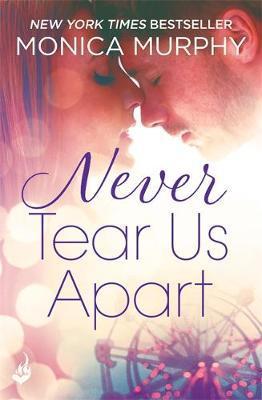 Never Tear Us Apart /Bp - BookMarket