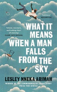 What It Means When A Man Falls From The Sky : The most acclaimed short story collection of the year