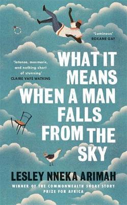 What It Means When A Man Falls From The Sky : The most acclaimed short story collection of the year