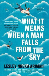 What It Means When Man Falls From Sky /B - BookMarket