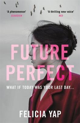 Future Perfect : The Most Exciting High-Concept Novel of the Year