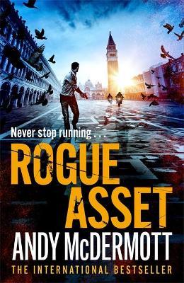 Rogue Asset /
