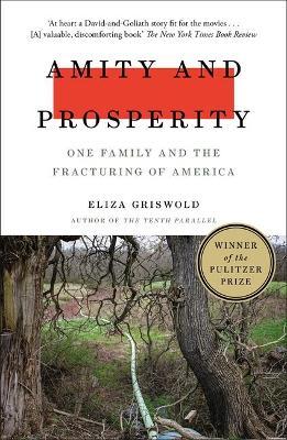 Amity and Prosperity : One Family and the Fracturing of America - Winner of the Pulitzer Prize for Non-Fiction 2019