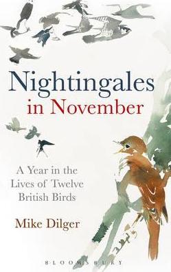 Nightingales in November : A Year in the Lives of Twelve British Birds