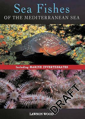 Sea Fishes Of Mediterranean Including Ma - BookMarket