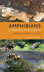 Amphibians Of Britain And Europe