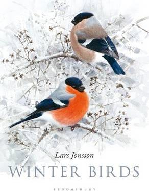 Winter Birds - BookMarket